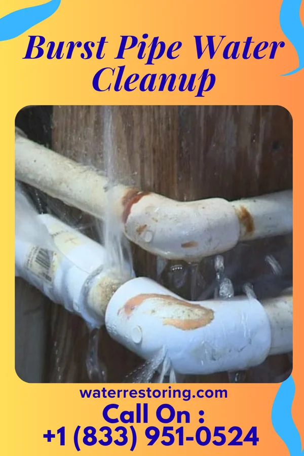 Burst Pipe Water Cleanup in Hillsdale, MI