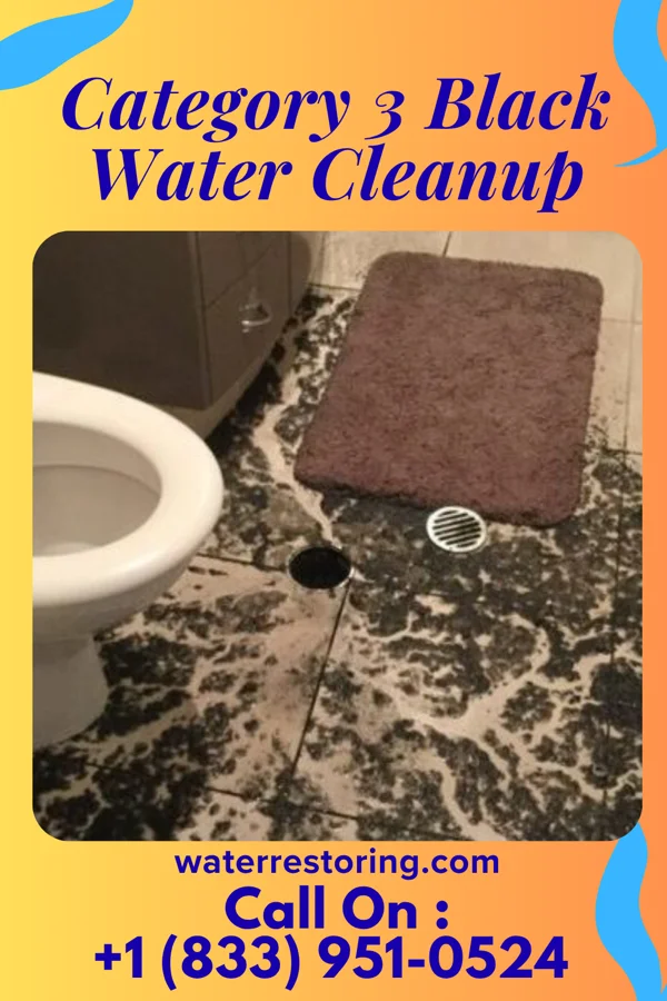 Category 3 Black Water Cleanup in Hillsdale, MI