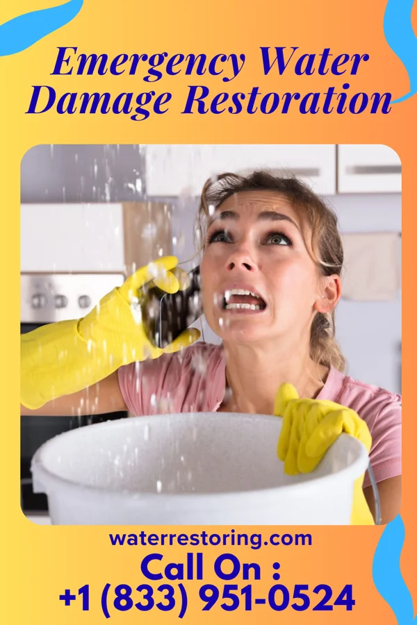 Emergency Water Damage Restoration in Hillsdale, MI