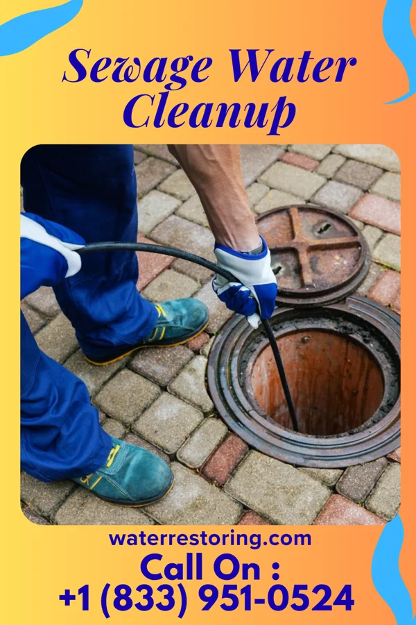 Sewage Water Cleanup in Hillsdale, MI